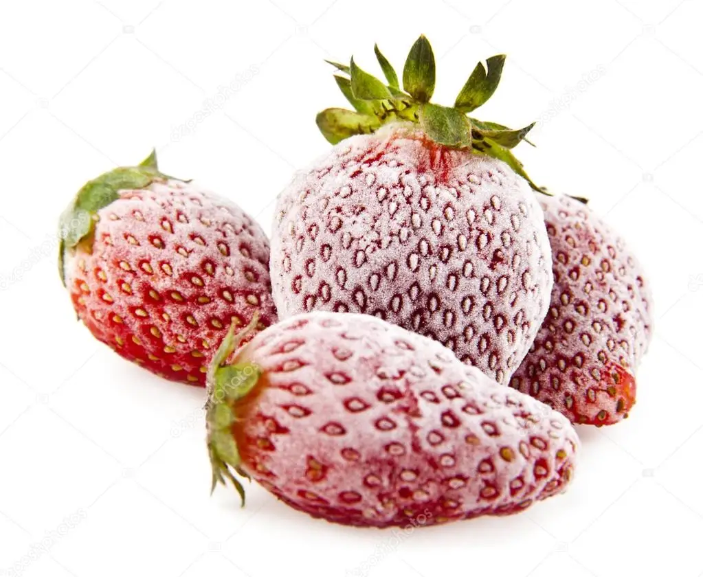 Dried /Fresh Frozen Strawberry,  Blue Berries ,  Berries in Bulk