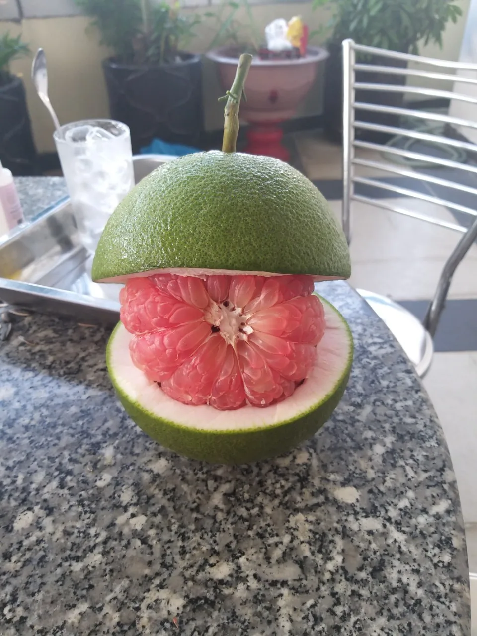 Vietnam Pomelo grapefruit best quality 2021 Contact +84932436968