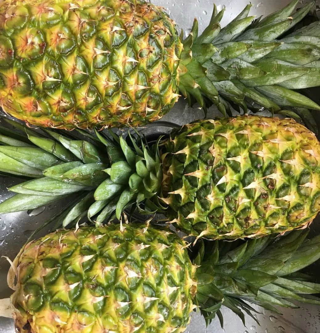 
Top Quality Fresh Pineapples with the most competitive price 
