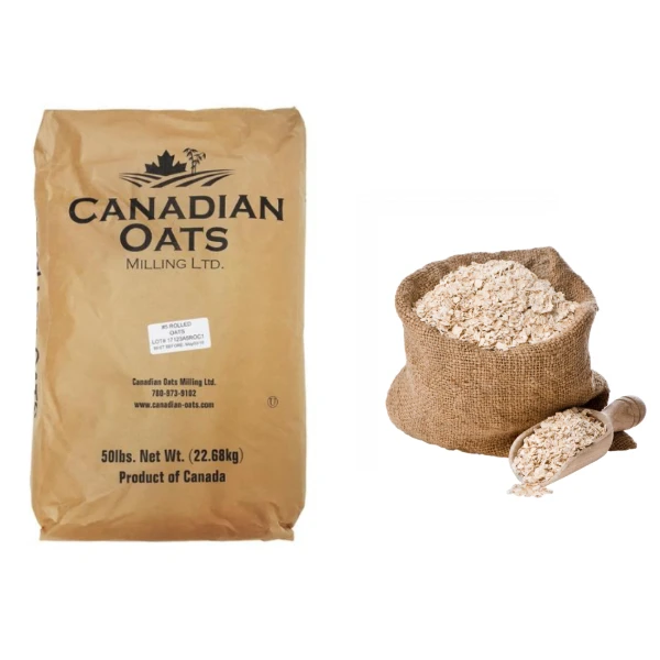 Supplier Regular Rolled Oats Organic Oats for Sale