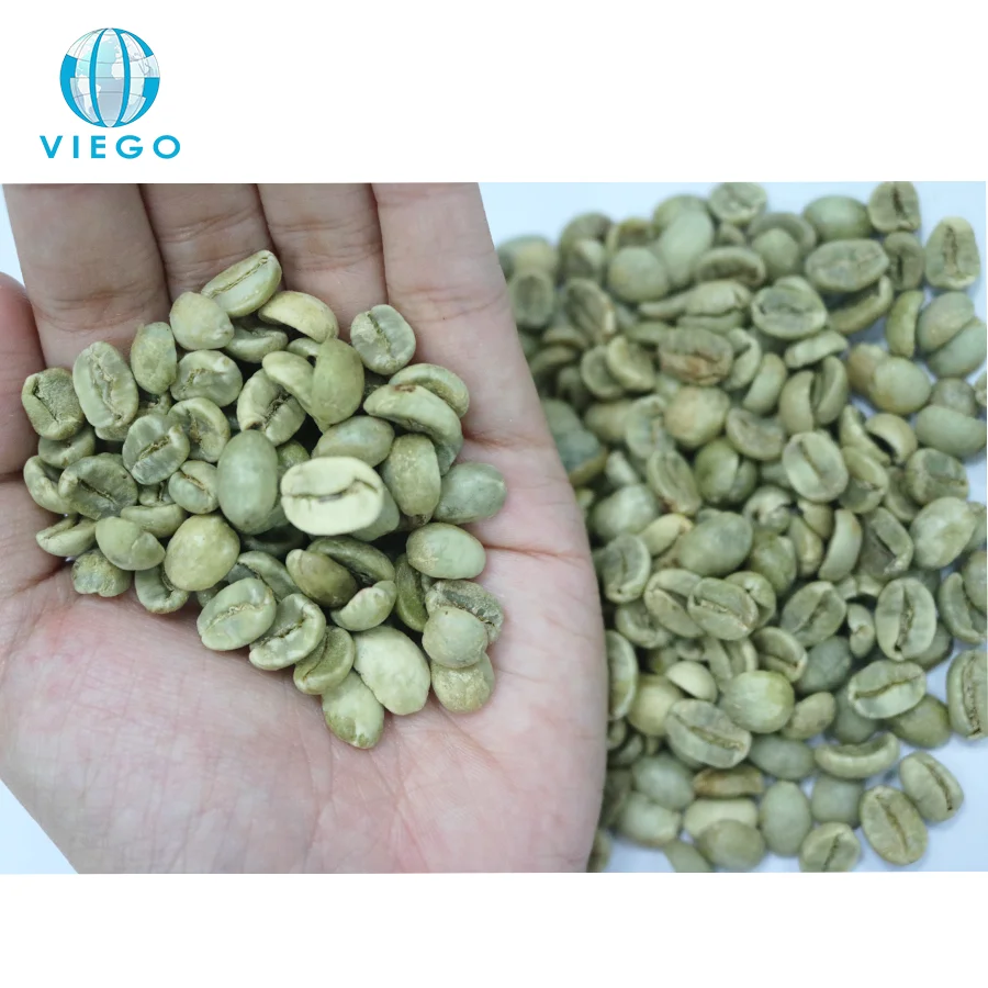 Coffee Beans Arabica Grade AA Screen 18 Standard Green Coffee Bean Cheapest Price for Coffee Arabica