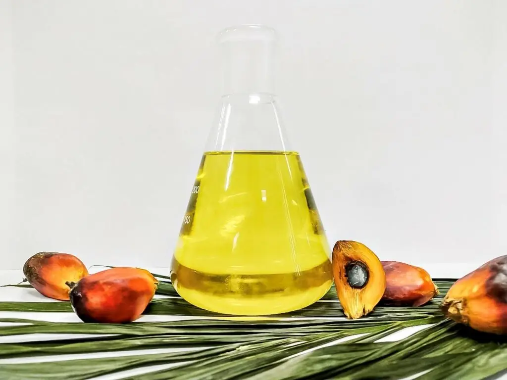 Vegetable Cooking Oil CP6 - CP8 - CP10 Refined bleached deodorized palm olein oil 100% Food grade manufacturer