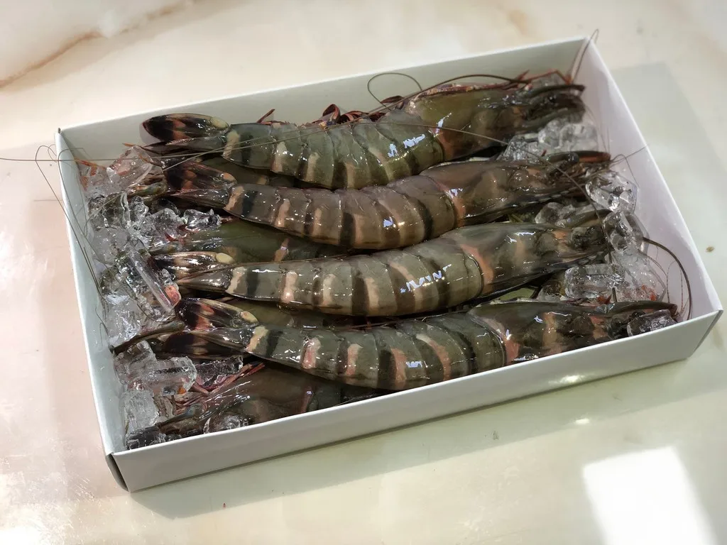 Wholesale Cooked HOSO Black Tiger Prawn Head On Shell On Fresh seafood made in Vietnam best for export