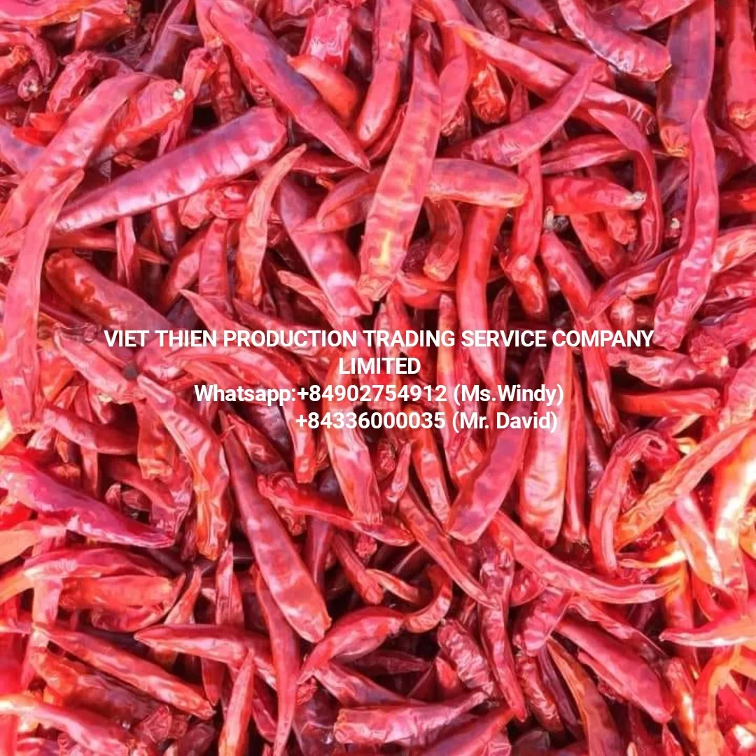 Dried red chili with wholesale price and meet standard export and available in stock in Binh Dinh Vietnam used as spices