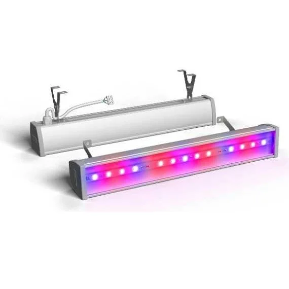 LED Grow Light ECOLED-30W-VL Fito IP65 UV LED Lamp