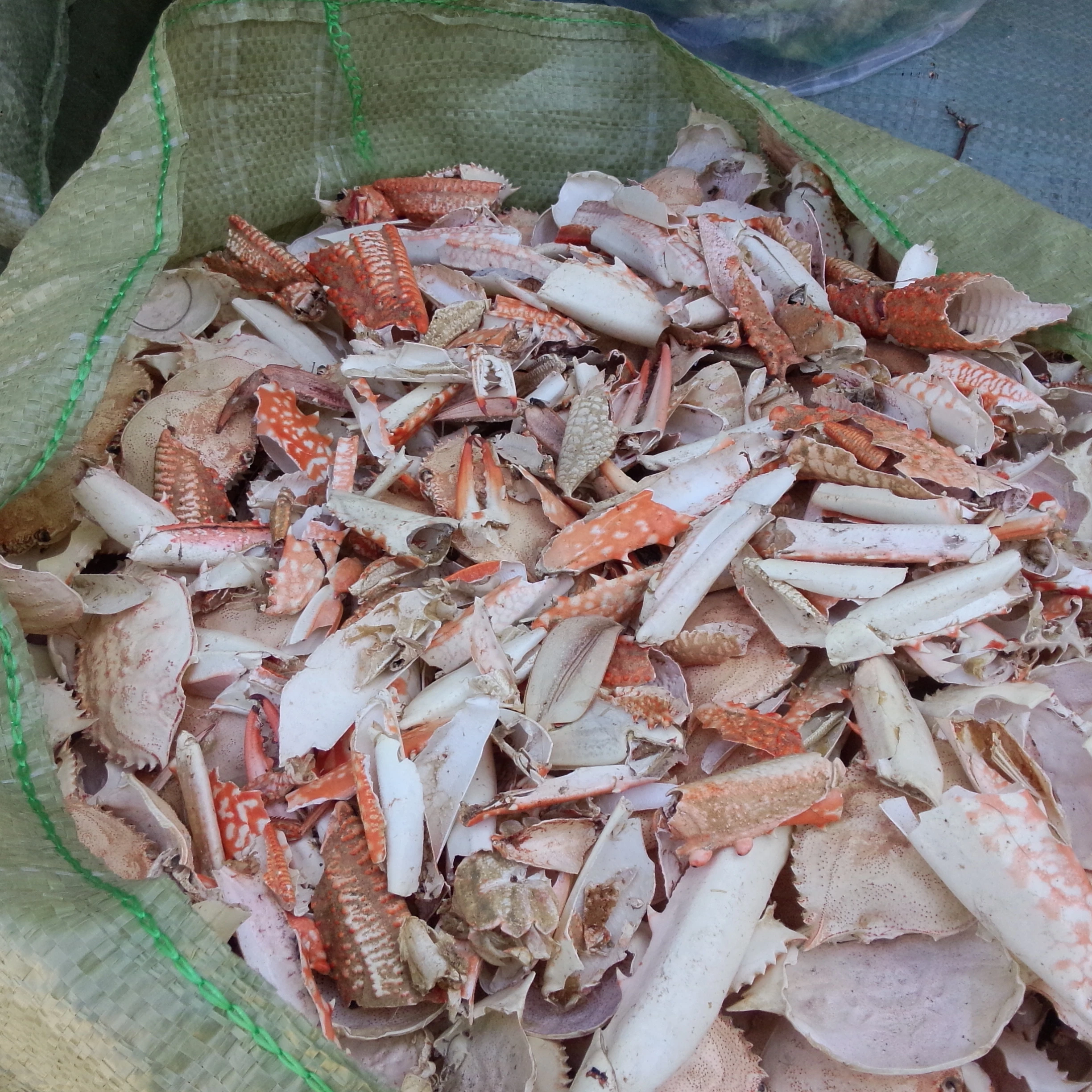 
Dried Crab Shell With The Most Comparative Price In Vietnam 