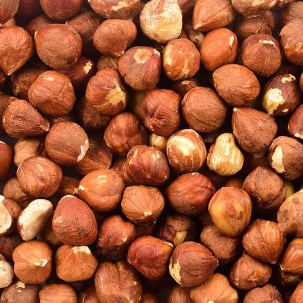 PREMIUM QUALITY EXW READY FOR SALE TURKISH HAZELNUT NATURAL ROASTED AND RAW HAZELNUTS SHELLED (2021- Giresun))