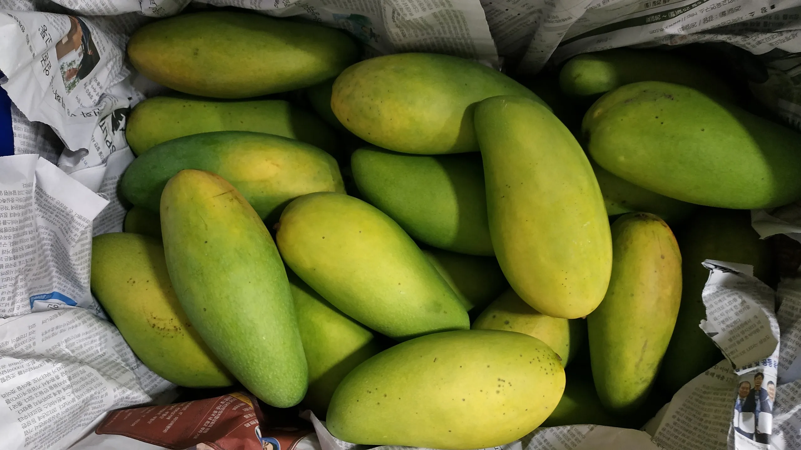 TUONG mango with good certification help improve health for daily use export from Vietnam