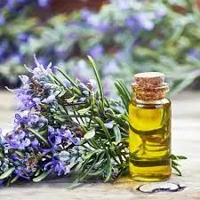 Rosemary extract Oil2.JPG