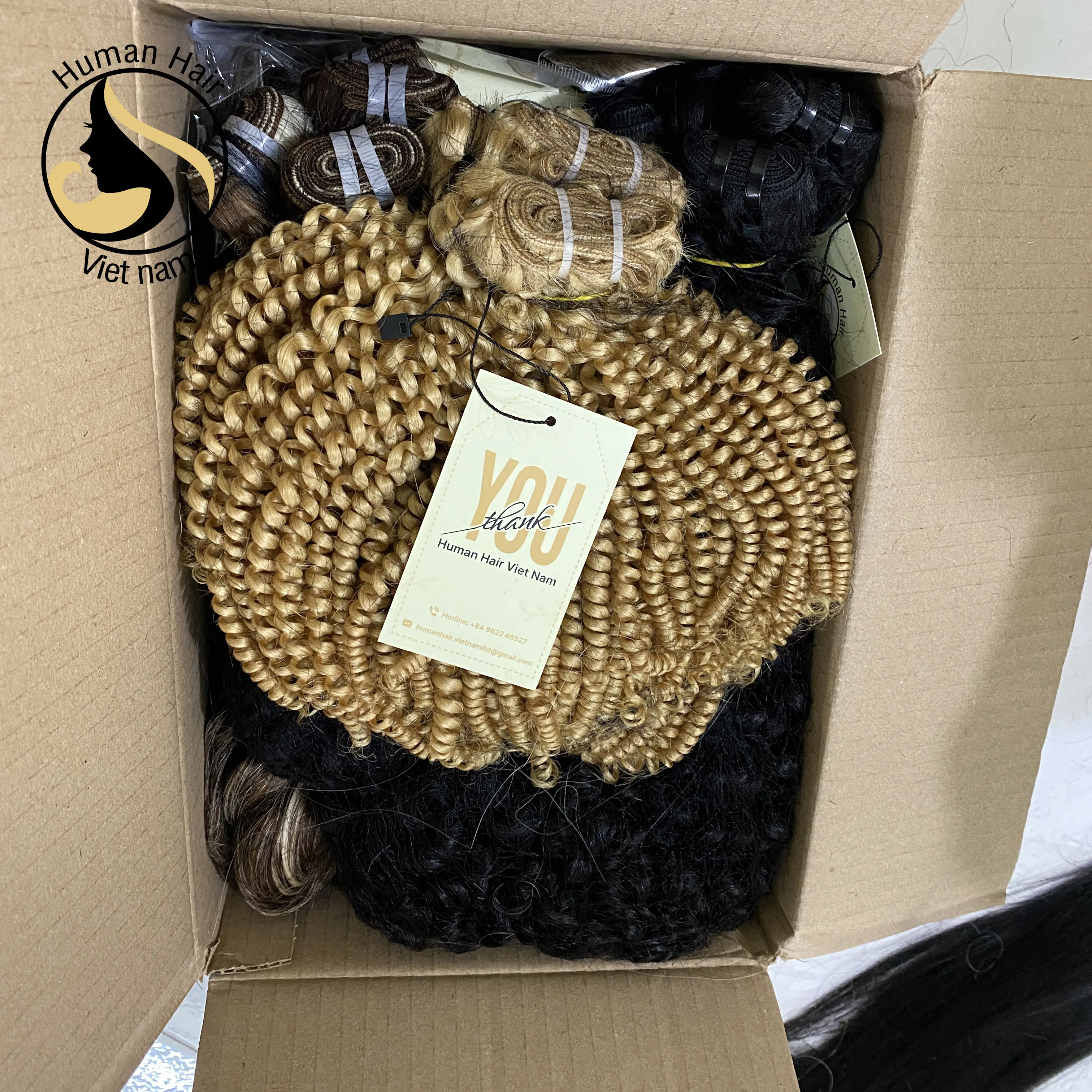 Double Drawn 100% Human Hair Vietnamese Kinky Curly Bundles Wave European/Russian 613 Blonde Hair