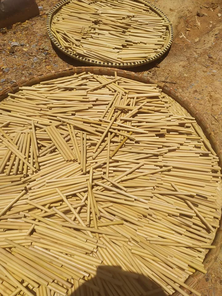  Лучший товар бамбуковые соломинки // низкий минимальный заказ хорошая цена Ms Sofia Whatsapp + 84 789 946 878