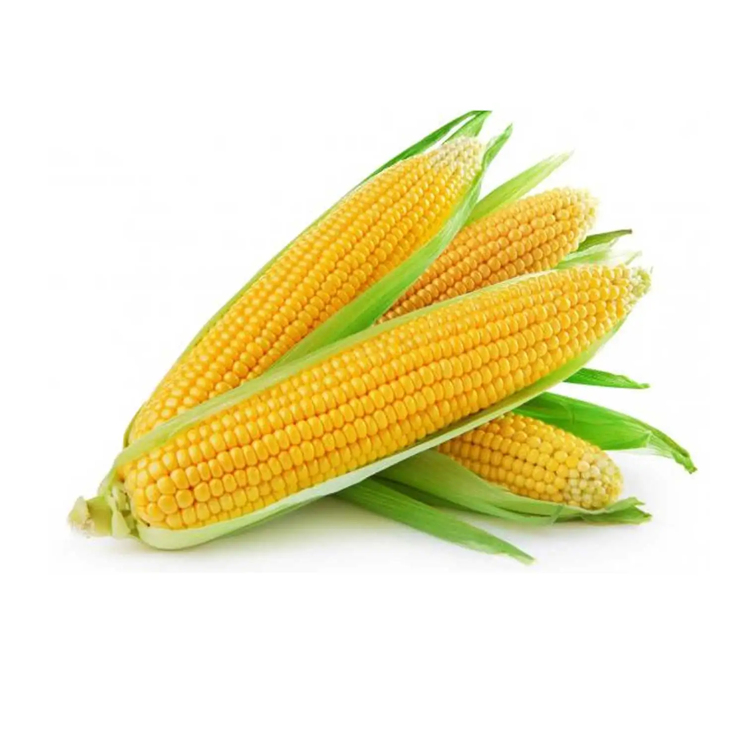Кукуруза Премиум-Качества с низким содержанием жира желтая кукуруза вкусные фрукты для семьи