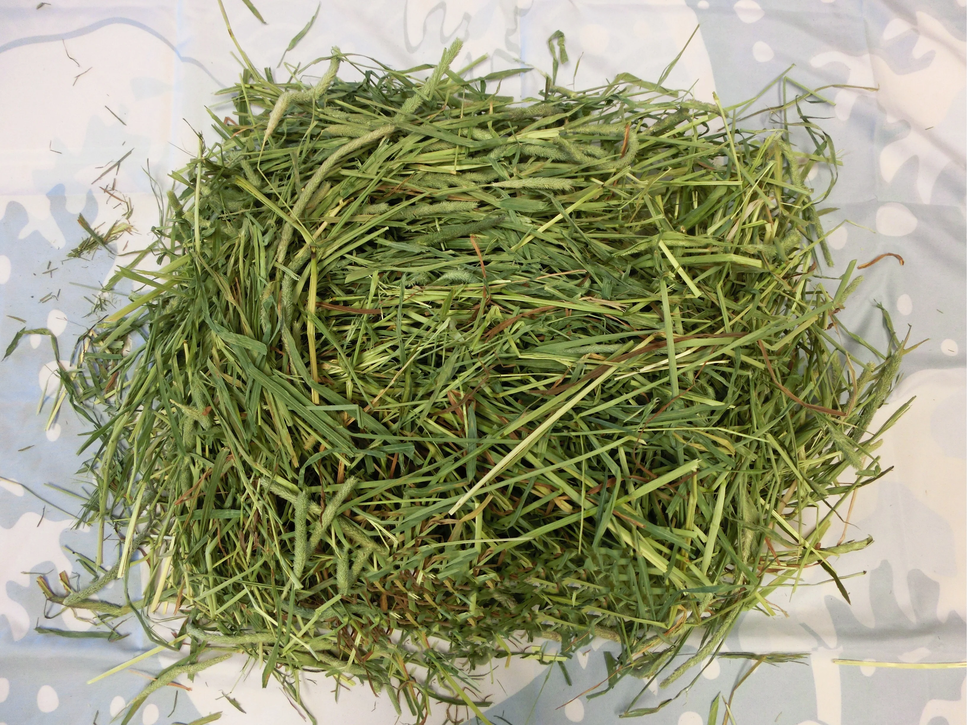 
Best American Timothy for Animal Feeding Horse Dairy Pets 