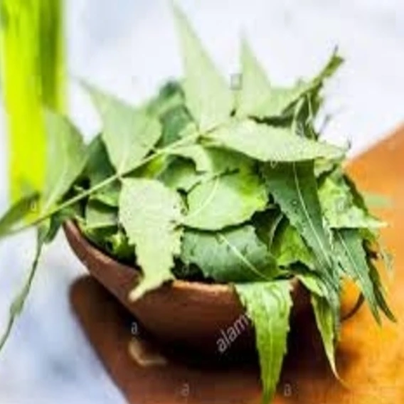 100% NATURAL & PURE NEEM OIL extracted from neem kernel by cold pressed method used for farms as fertilizer - INDIA