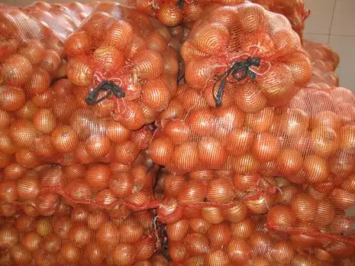 
Fresh Holland Yellow Onion 