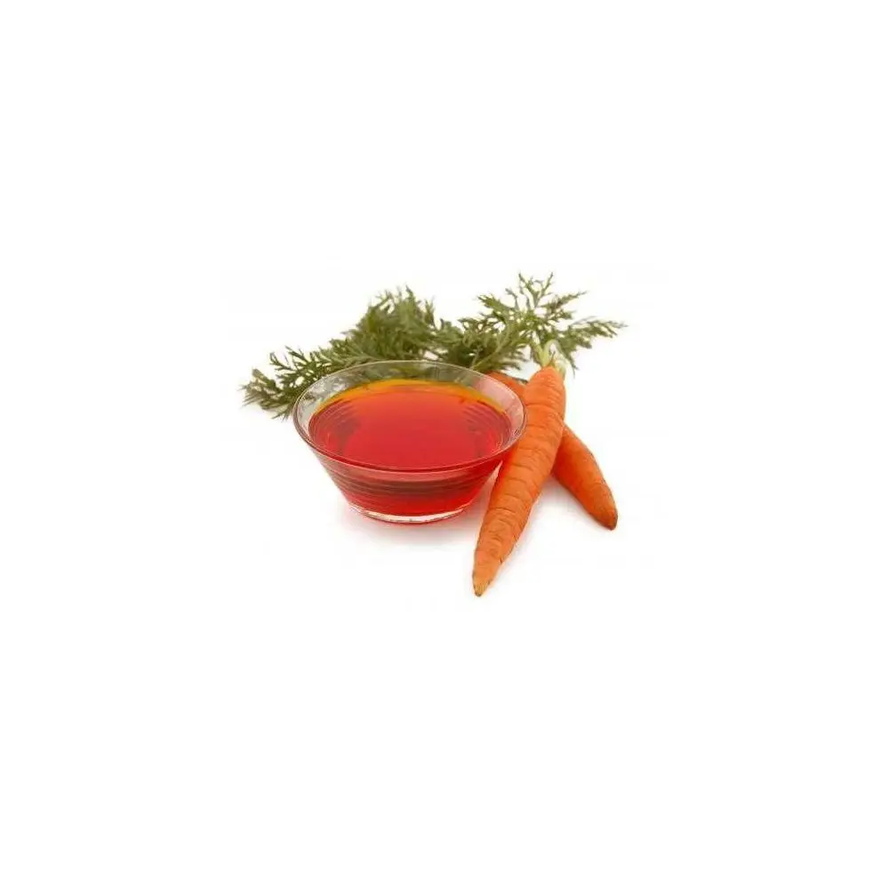 Best grade high quality carrot seed essential oilfor antiseptic use from India