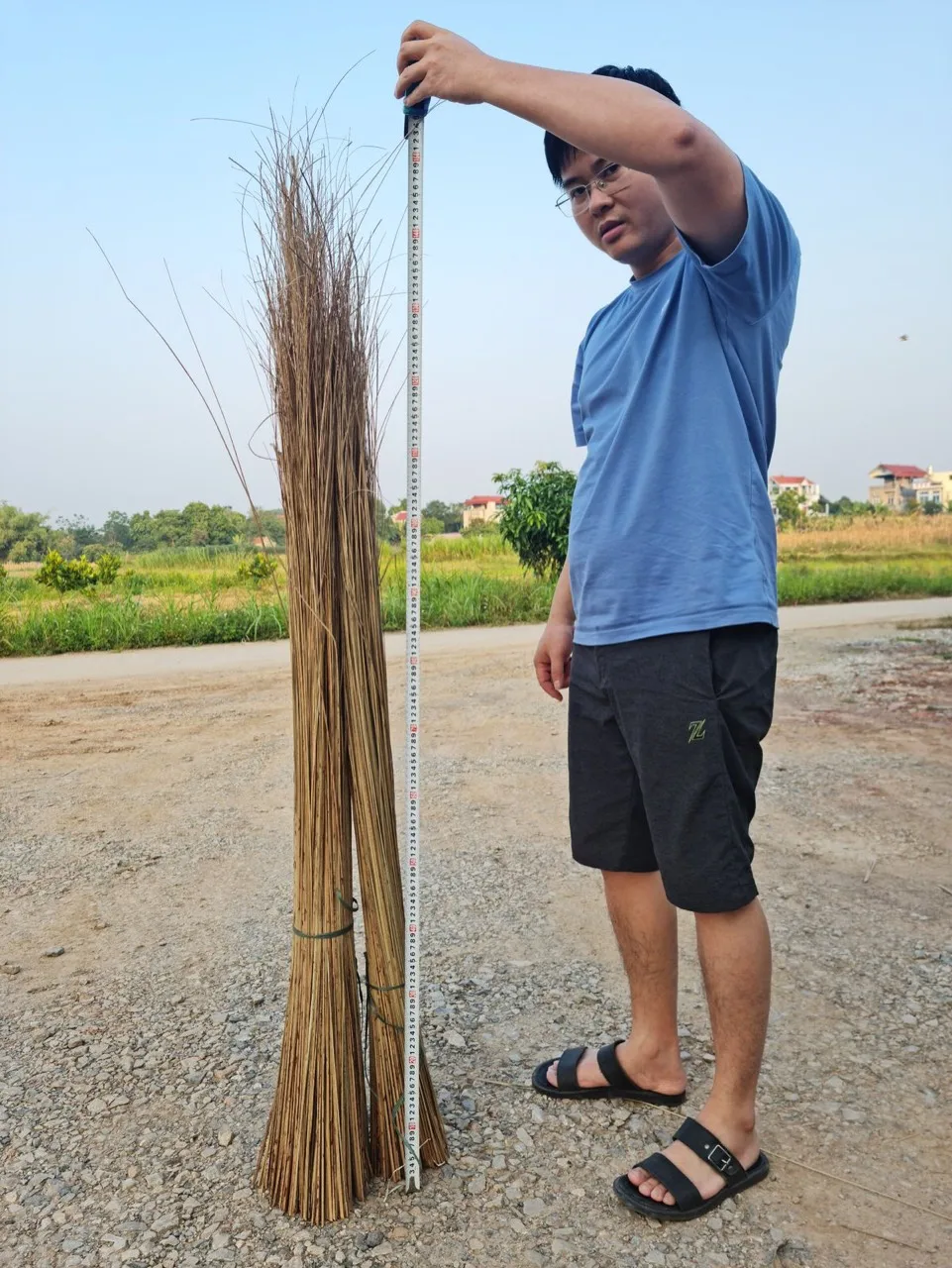 High Quality Natural Nypa Leaf/ Made in Viet nam Nypa Broom Brooms & Dustpans from Natural OEM Eco Material Origin