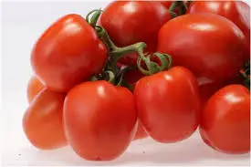 Высококачественные томаты для посева сельскохозяйственных специй в оловянной упаковке культивирования 2022