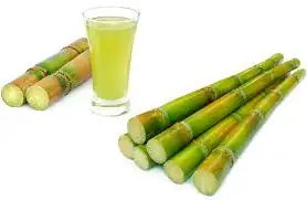 The Premium Quality Factory Price MSDM Sugarcane Molasses (Brix Min 75%) With Standard Export Packing