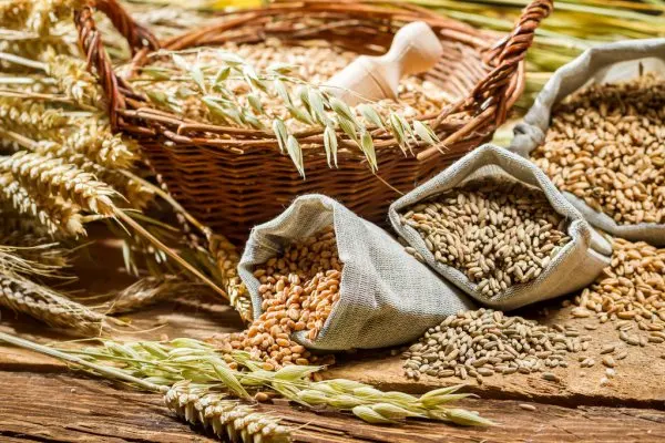 Fine Wheat Flour Price in Indian Market