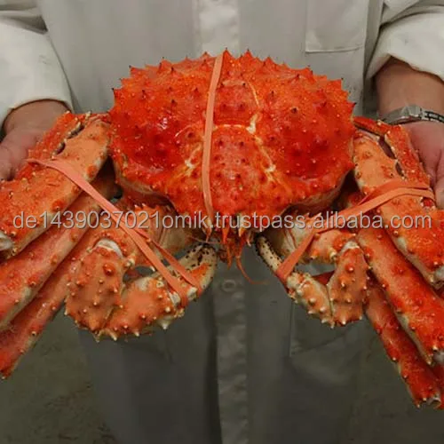 KING CRABS (4).jpg