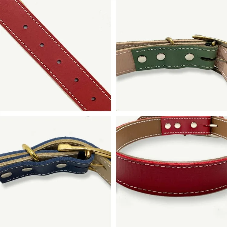 Dog Collar T17 LP05