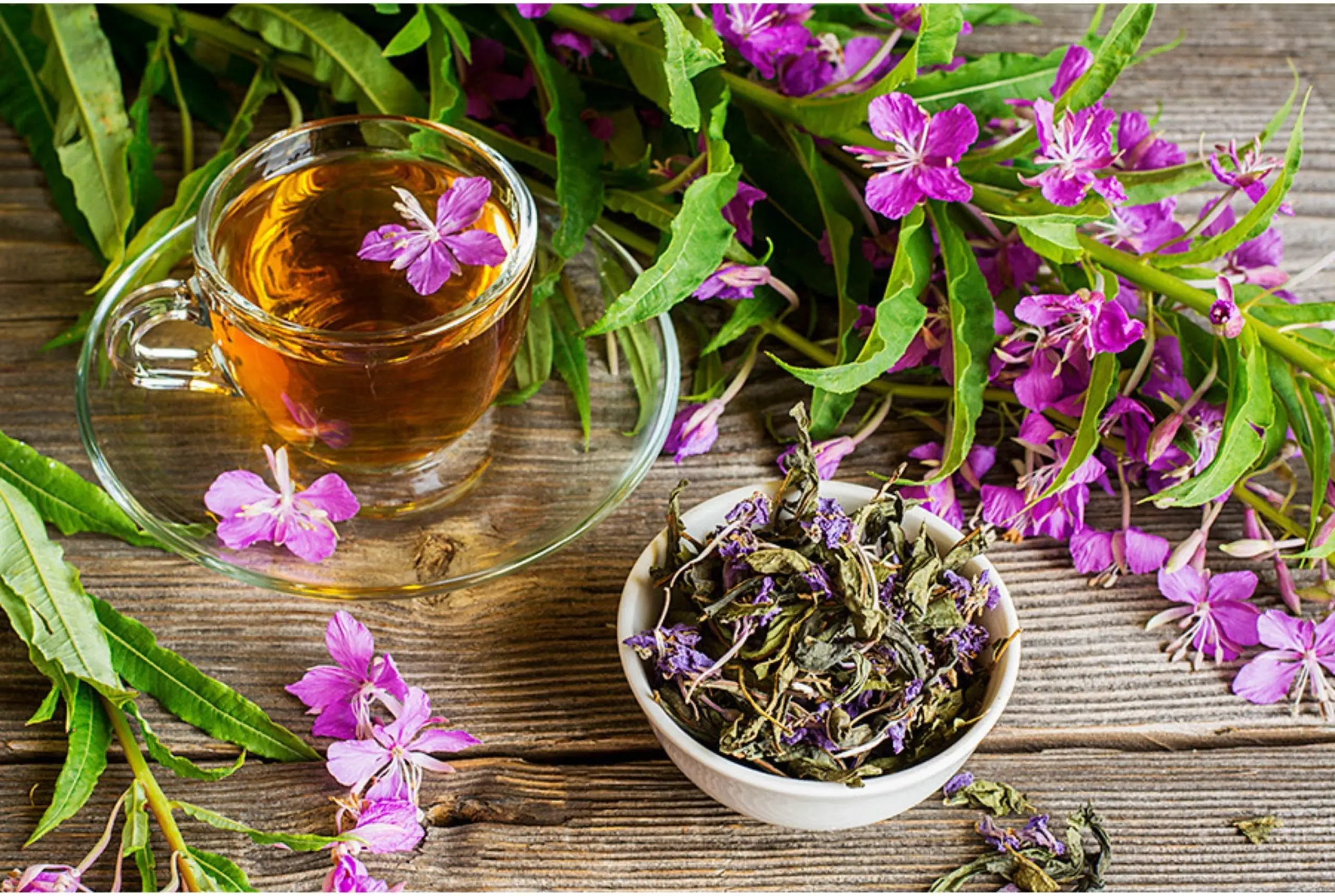 Rosebay Willowherb Russian Tea Ivan Chai