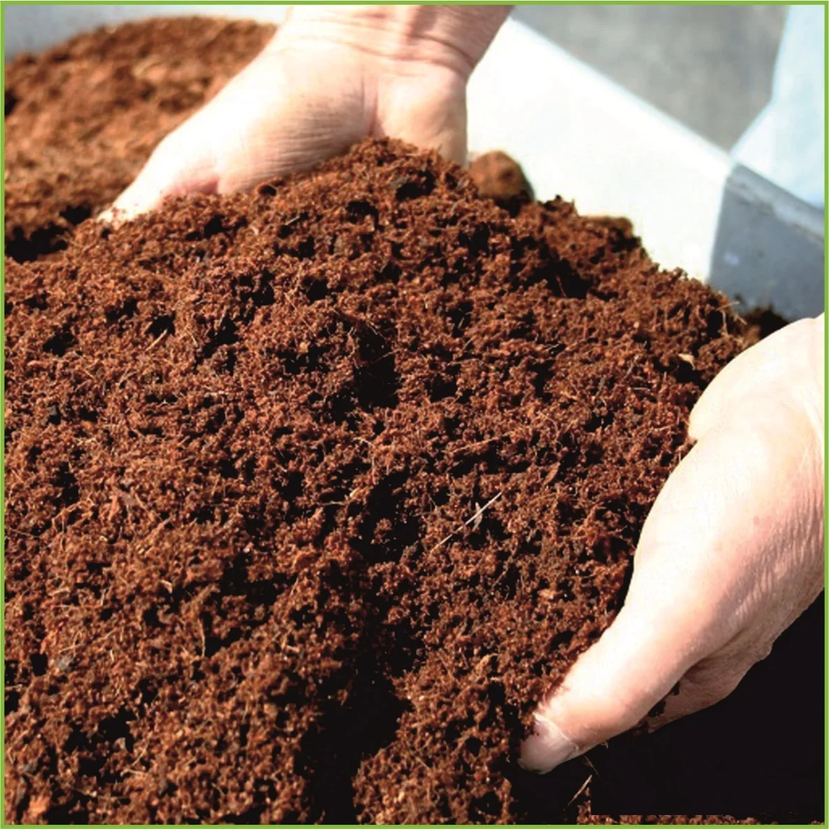  Cocopeat блок/порошок/Coir Pith для постельных принадлежностей животных и роста