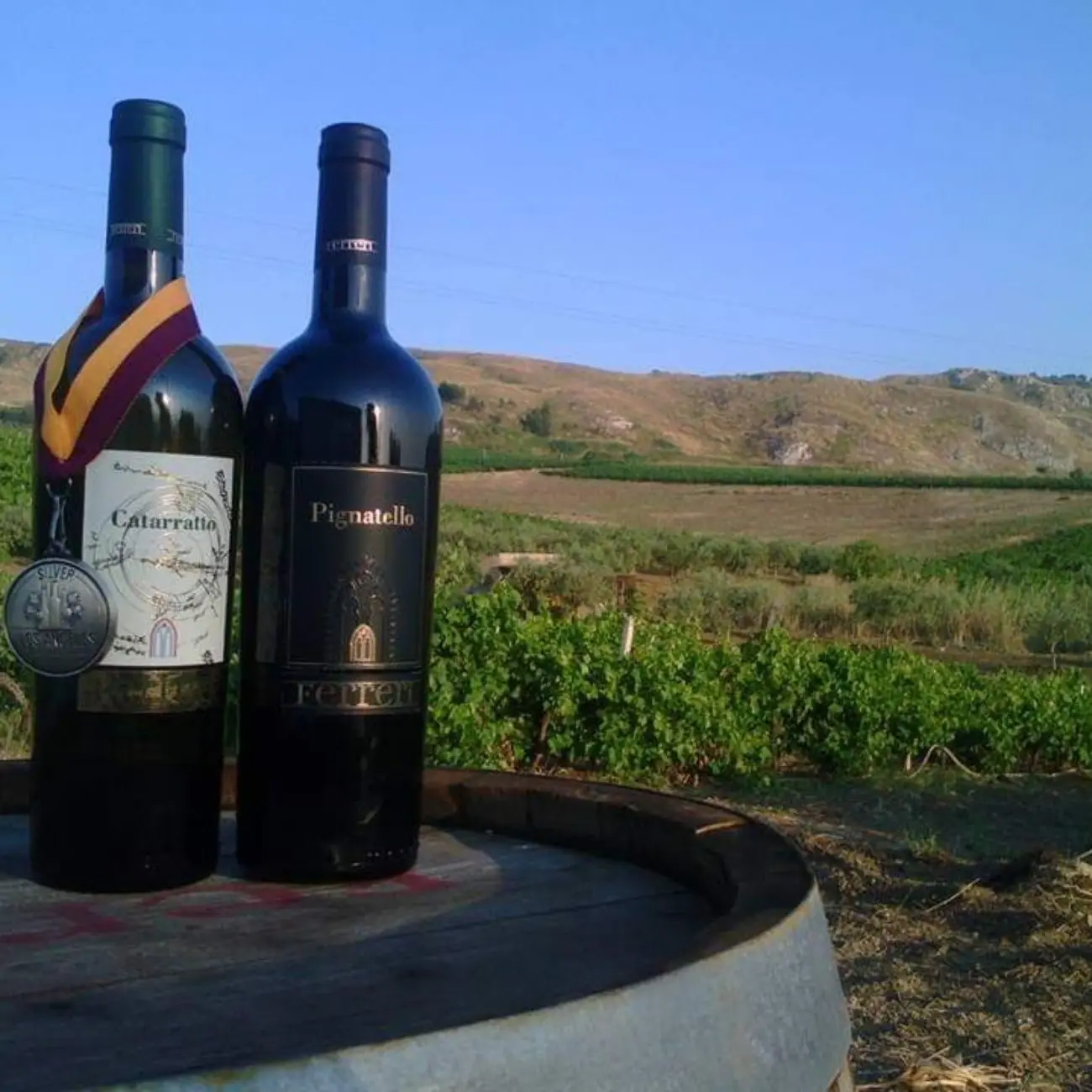 FERRERI tradition new mix of high quality Red and Rose wine for table and shop 750 ml Grape Pignatello Italy High Quality