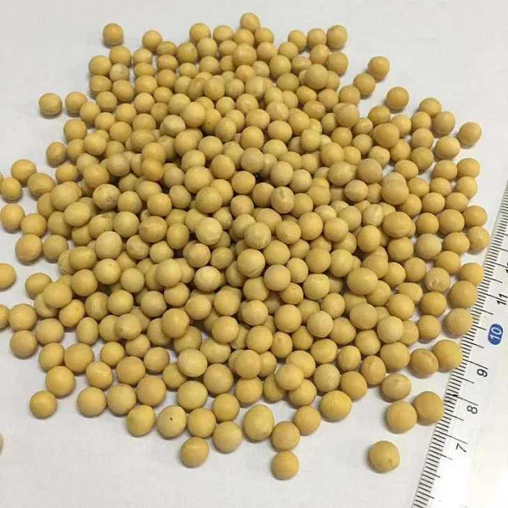 
High Quality Non GMO Yellow Soybeans   Soybeans /Soya Bean (8.0mm) with High Quality  (1600222682309)