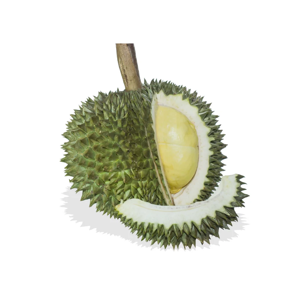Thailand Monthong ACE Durian Tropical AAA OEM Style Weight Origin  Grade Product Fresh cut Fruit Place Model HACCP Accepted