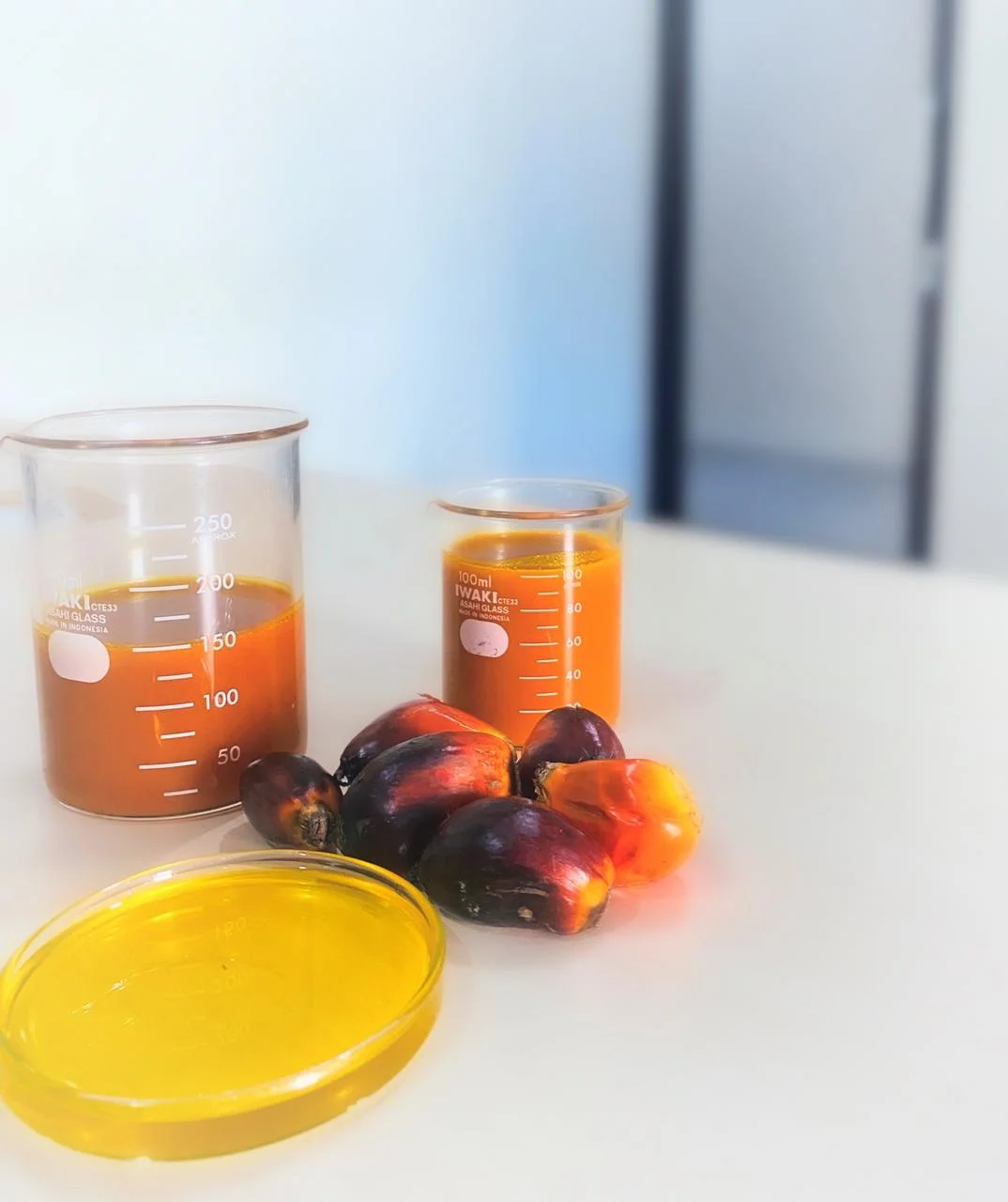 Indonesia Agricultural 100% Purity Natural Crude Palm Oil (CPO)For Cooking