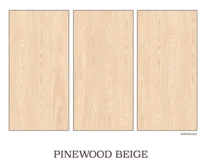 Ark Wood in Glazed Polished Porcelain Body Having Glossy Finish Giving Look Size of 600x1200mm Used School