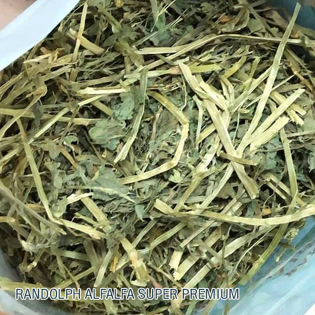 Alfalfa Hay Super Premium First Cutting Hand Selected High Protein Product from Thailand for Small Animals