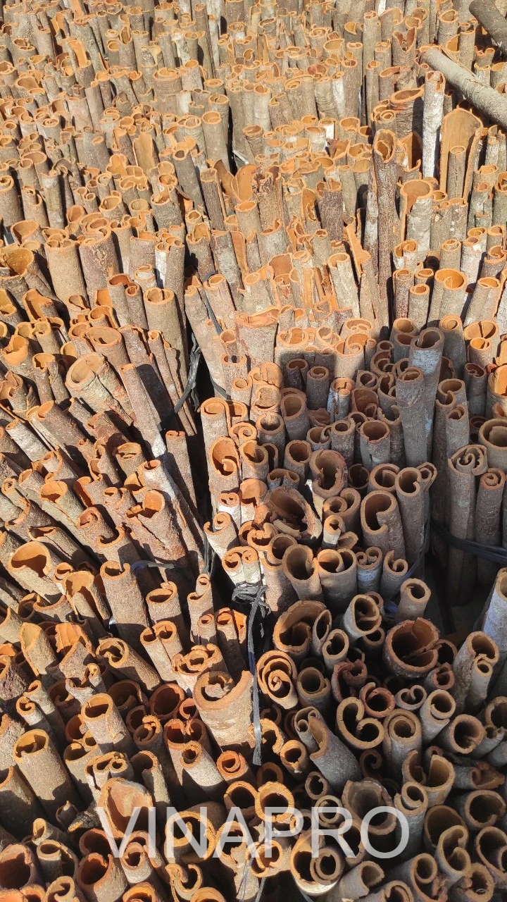 Whole cassia - Vietnamese origin - VINAPRO