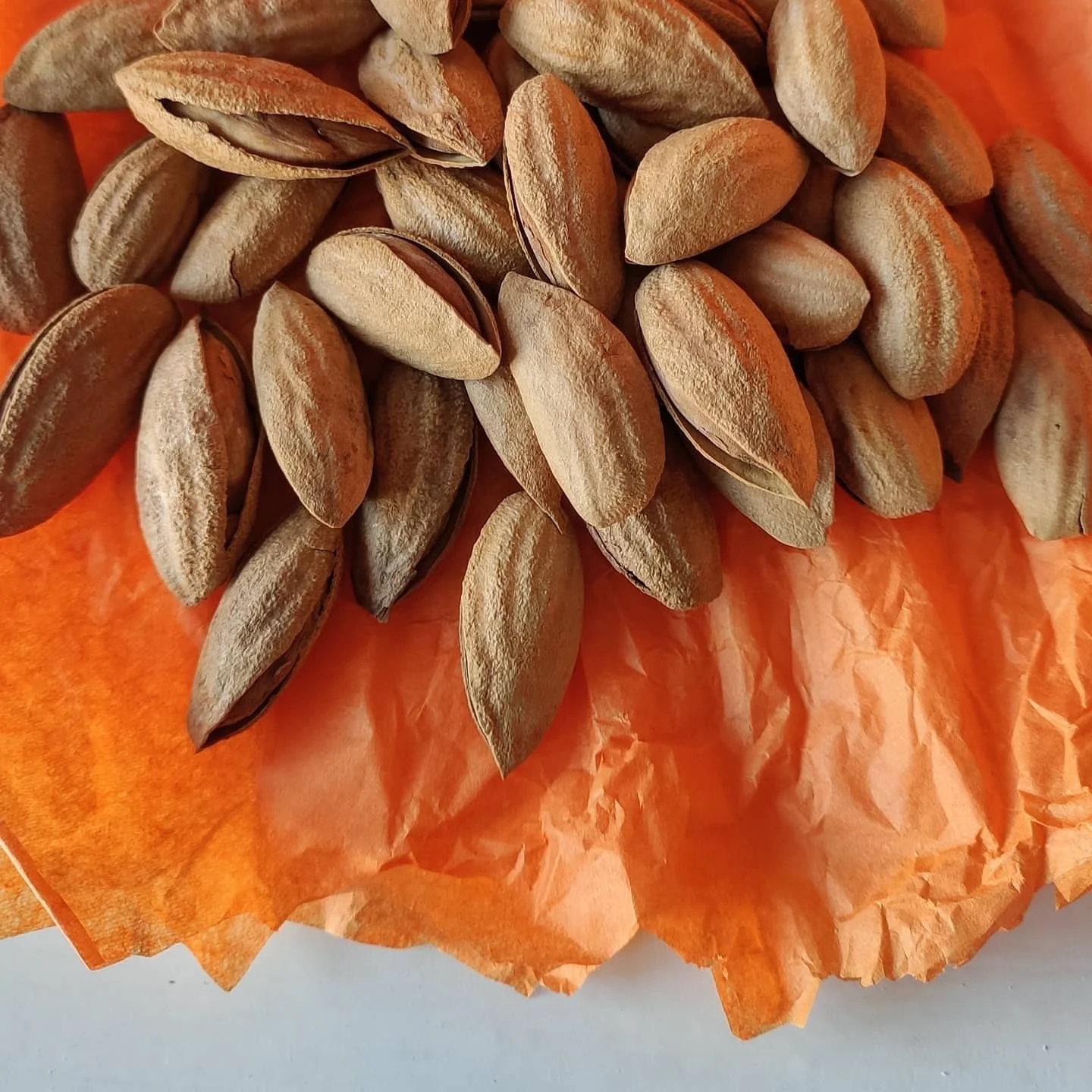 Свежий вкусный миндаль высокое качество кг для продажи орехи/миндаль естественная упаковка оптом Сыпучие орехи