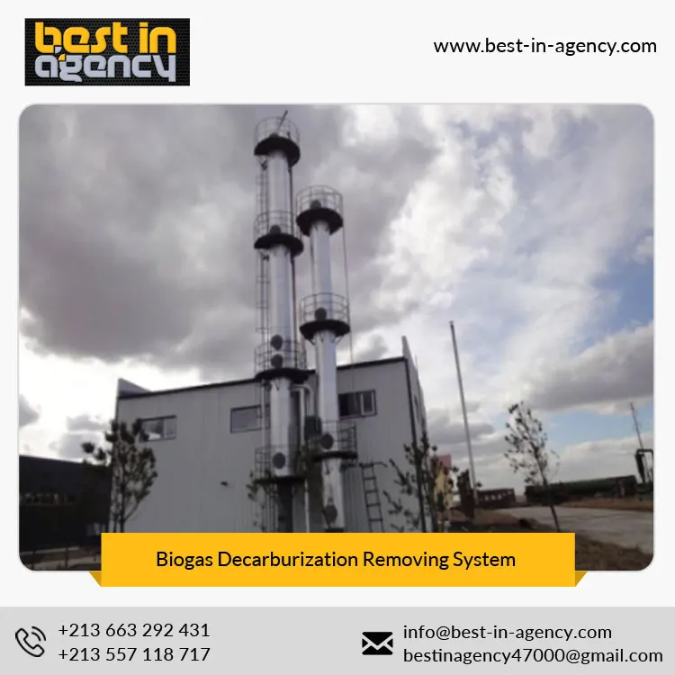 Natural Gas Water Removal Biogas Purify Decarburization/CO2 Removing System Manufacturer