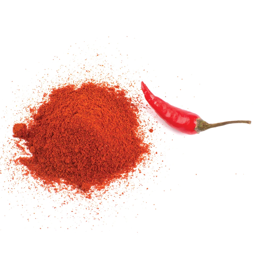 High Quality Wholesale Powder Shape Spicy Red Color 20-25 KG 12 Months Shelf Life Dry Red chilii Powder 500g Origin From India