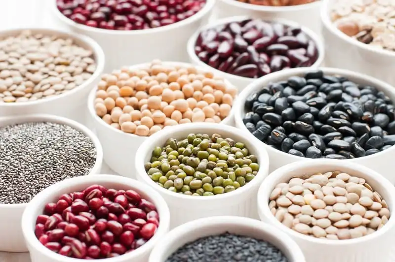 Hot Sale Organic Light Speckled Kidney Beans with Export Kidney Beans