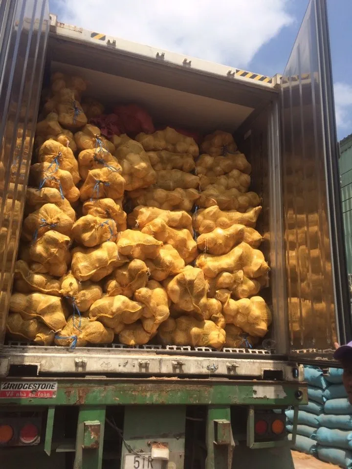 Полуочищенный зрелый кокосовый орех/кокосовый орех свежий