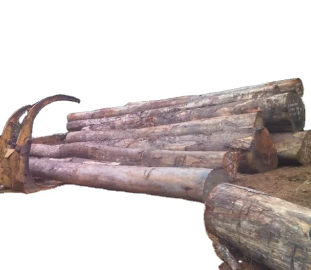 TROPICAL AFRICAN HARDWOOD  SAPELLE   SAPELLI    OKAN