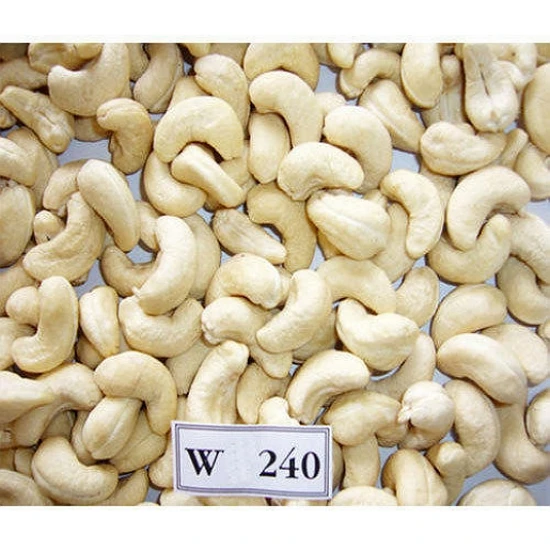 Vietnam cashew nuts without shell W240 at Competitive Price