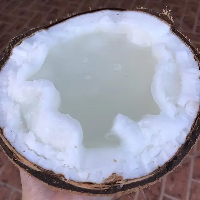 Coconut milk  400 ml