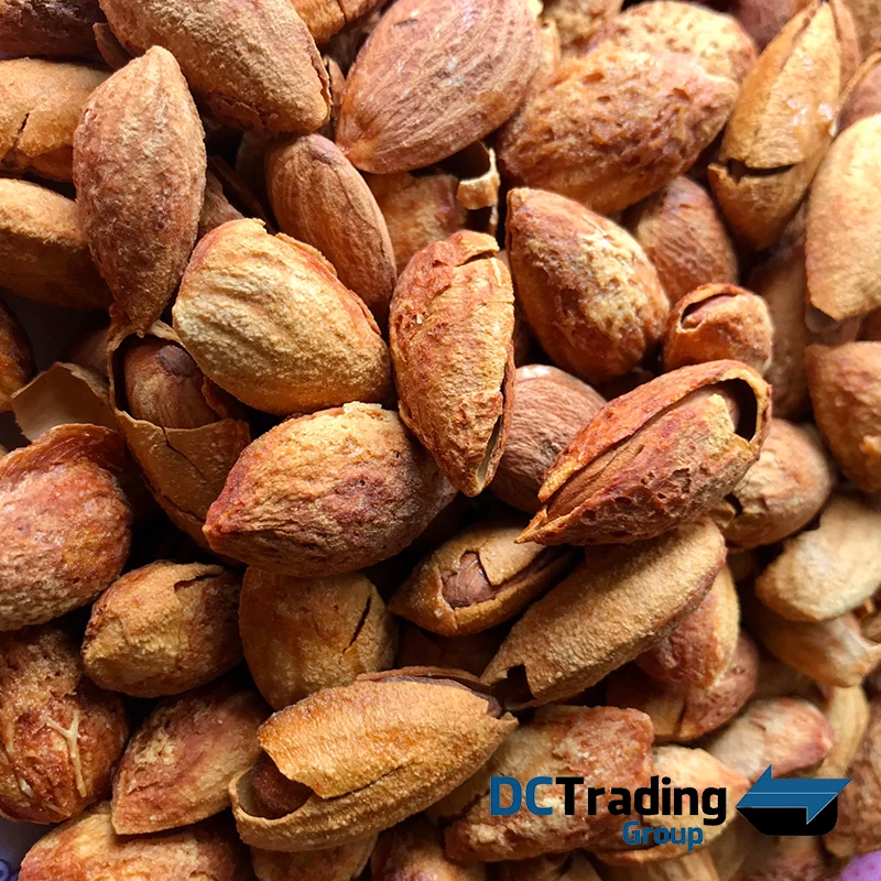 
Premium Almonds In Shell and Kernels Organic at Wholesale Competitive Price 