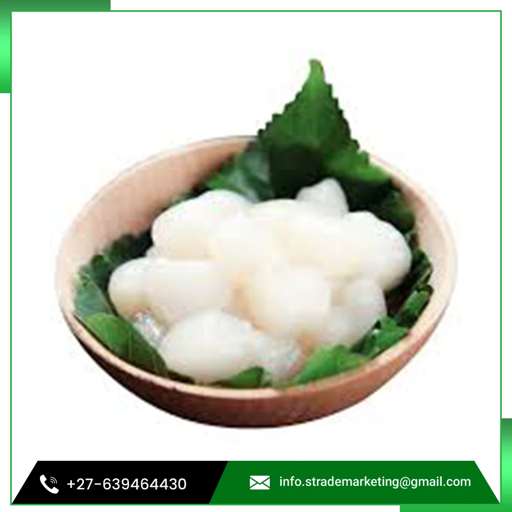 
High Grade New Frozen Air Dried Scallop 