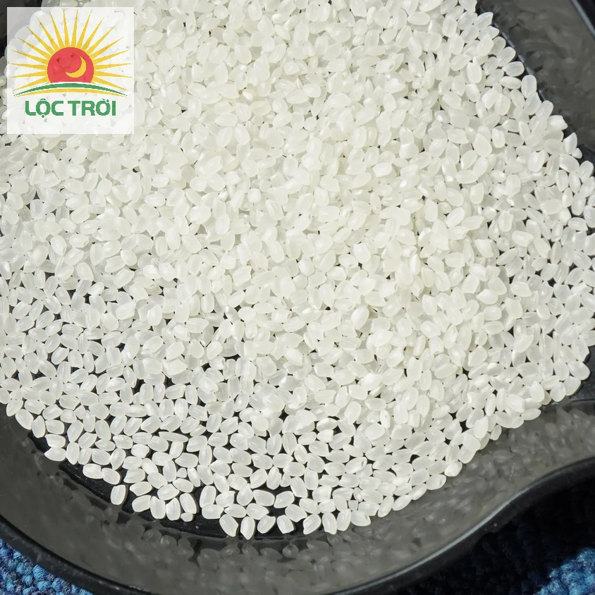 Premium Quality Calrose rice/Sushi rice/ Japonica from Vietnam Best Supplier Contact us - Loc Troi group for best price