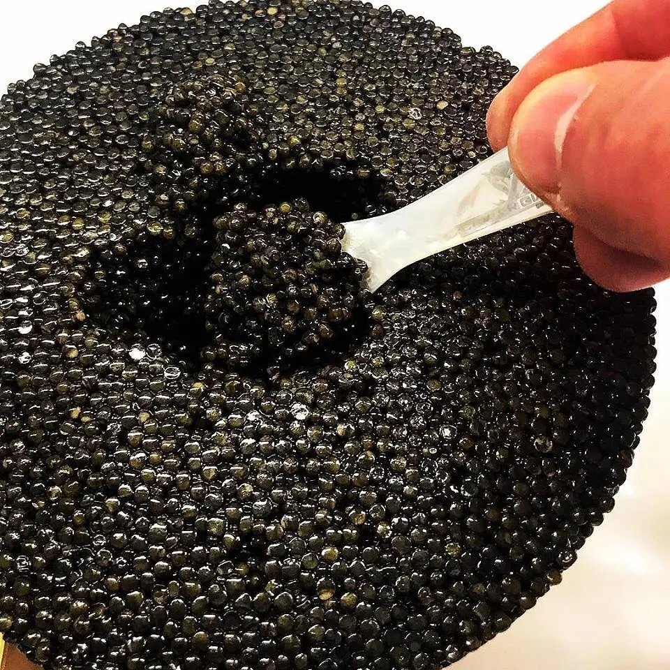 100% Премиум Белуга Икра для продажи сейчас в наличии