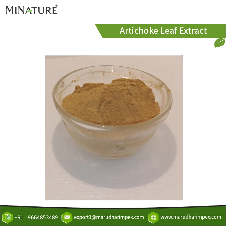 Exceptional Quality Top Selling High Purity Natural Artichoke Leaf Extract Powder for Genuine Bulk Purchasers