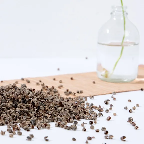 
 Гречневая шелуха qiaomaike Fagopyrum tataricum для продажи  