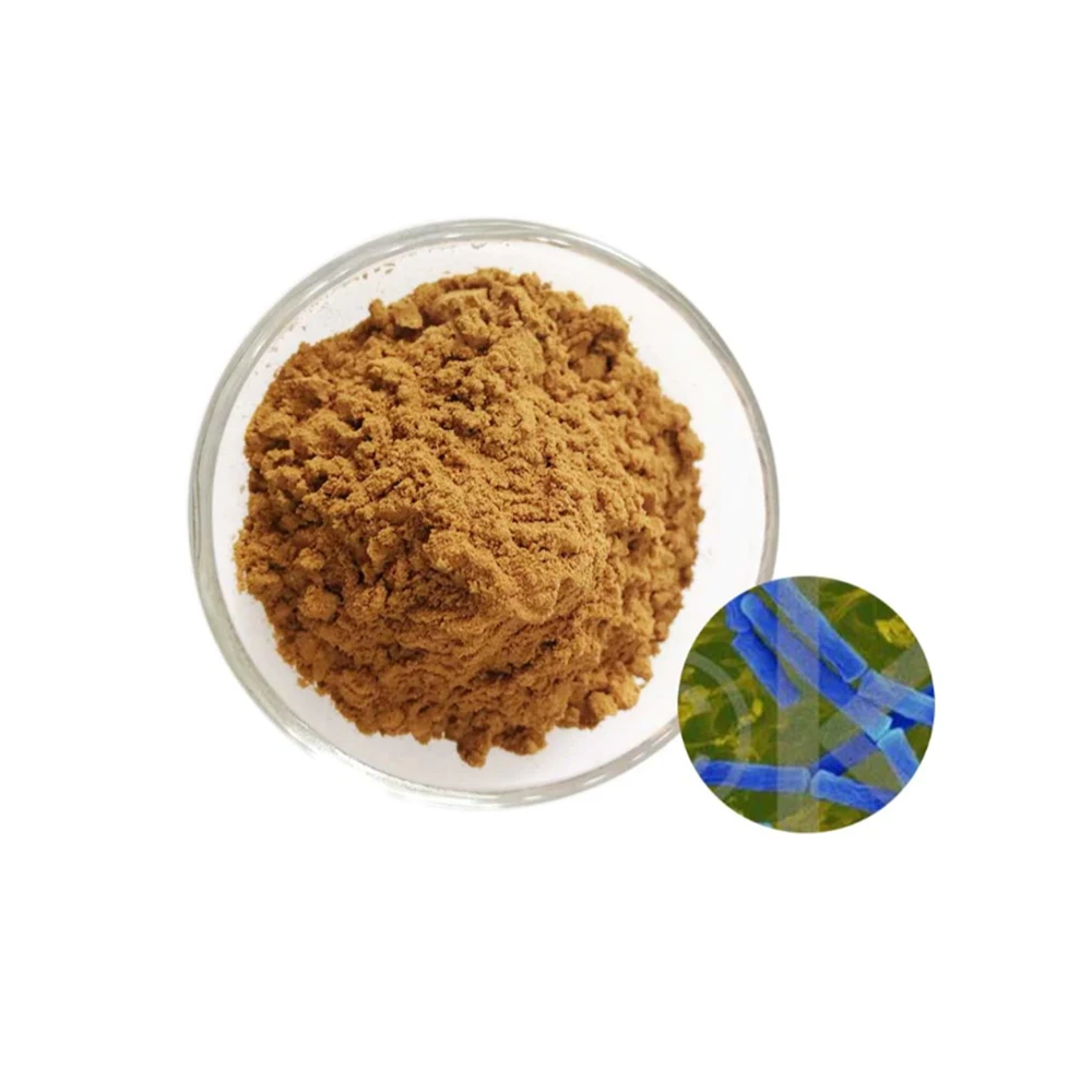 
Private Label Hot Selling Lactobacillus Acidophilus Probiotics - Zealmax Biopharma 